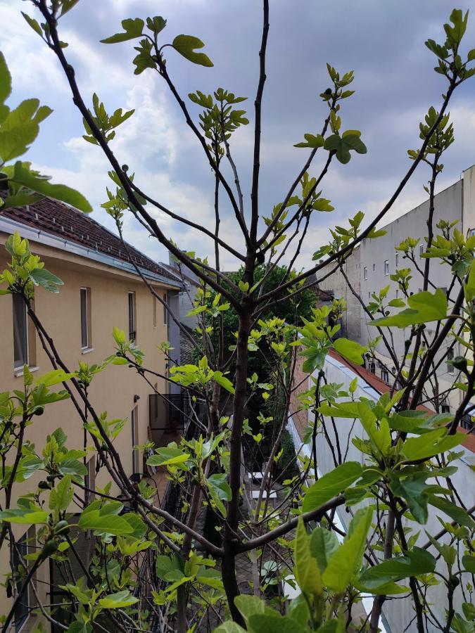 Centar Novi Sad-Apartman No 3 Eksteriør bilde