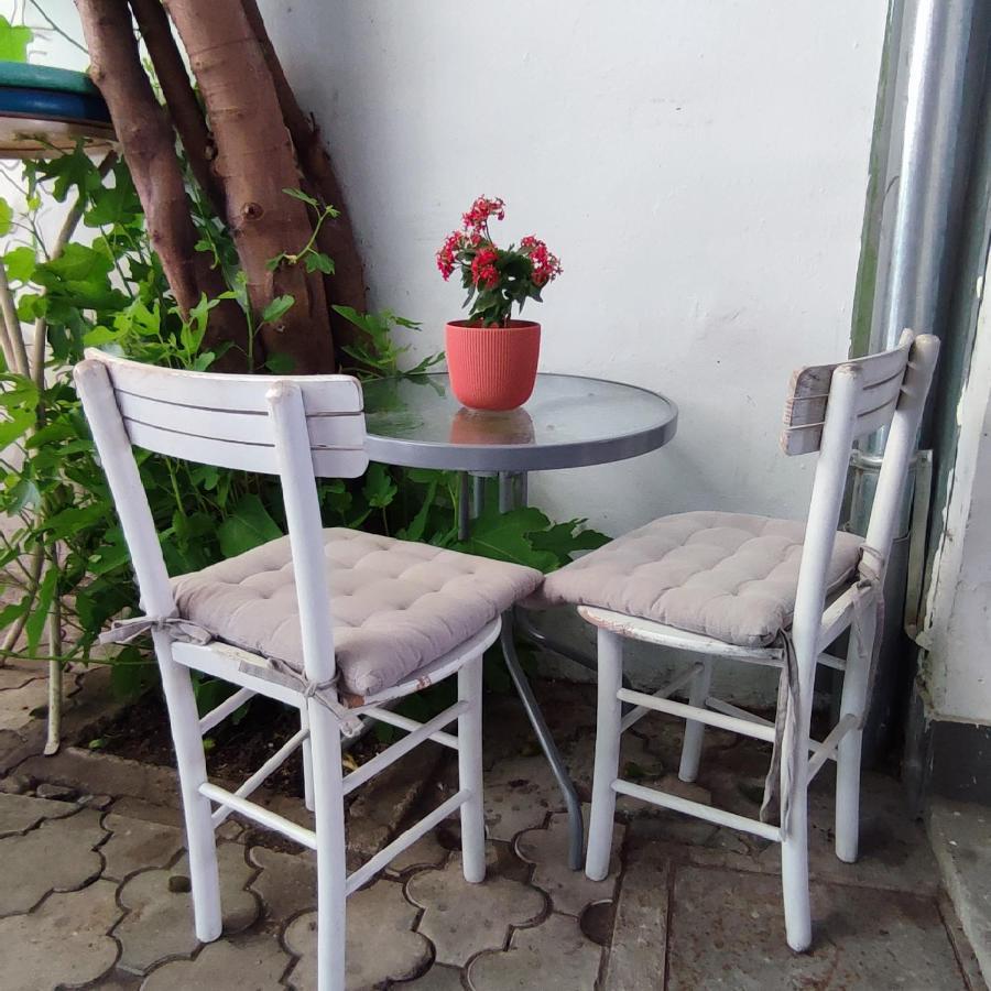 Centar Novi Sad-Apartman No 3 Eksteriør bilde